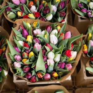 Central Coast Blooms: Our Top Picks for Local Flower Delivery